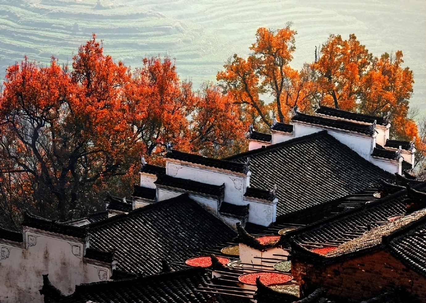 遇到心眼坏的人怎么办,心眼坏的人关心你的隐私和秘密