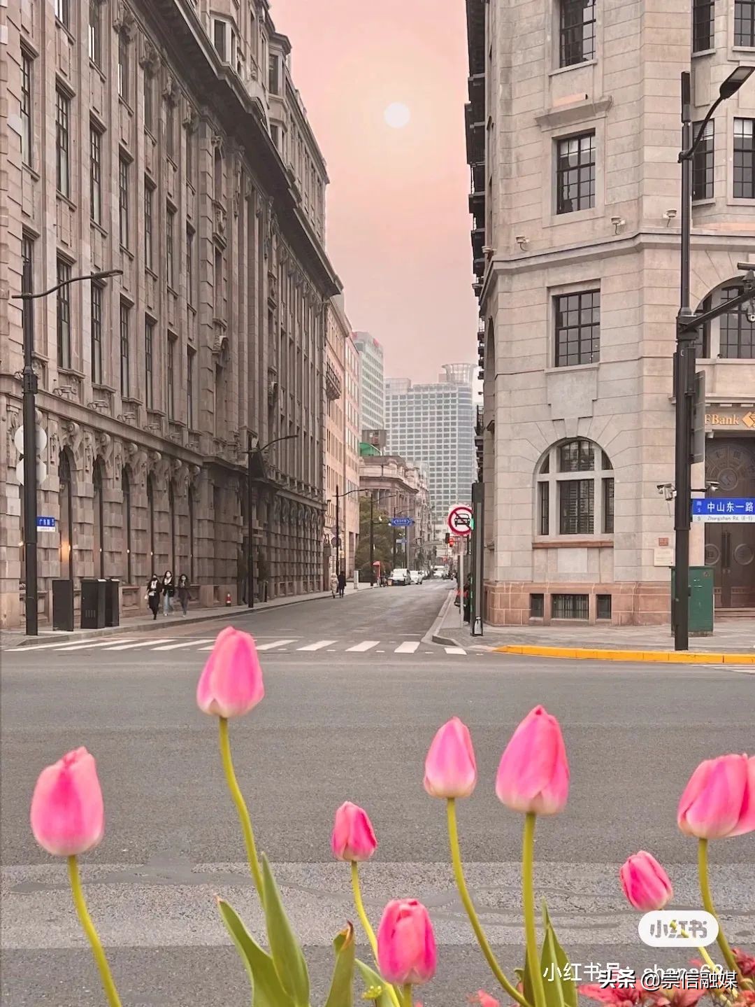 上海的浪漫鲜花,上海最美的鲜花