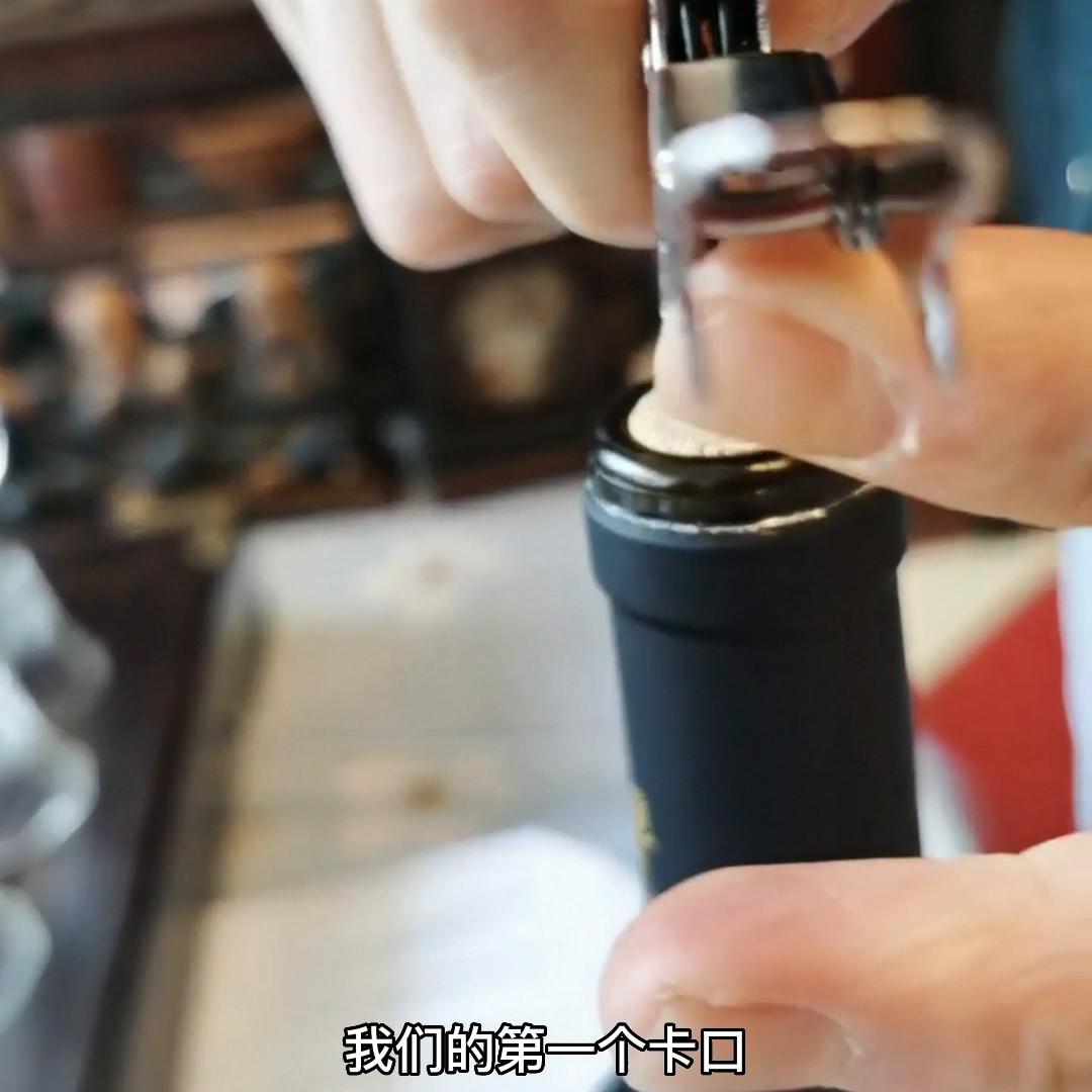 葡萄酒知识视频教程完整版,海马刀葡萄酒