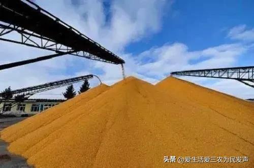 为民发声合集,为民发声办实事