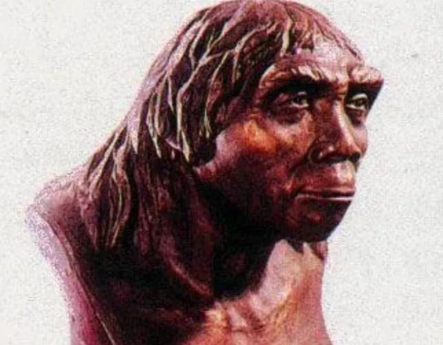 中国人祖先从哪来,中国人的祖先从哪来