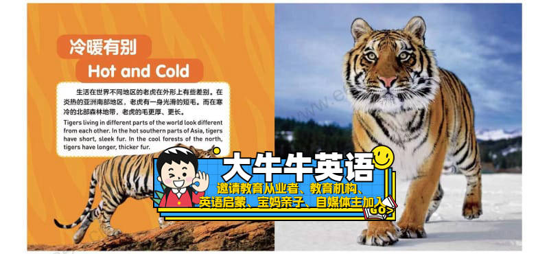 Tigers3~6岁英语启蒙绘本