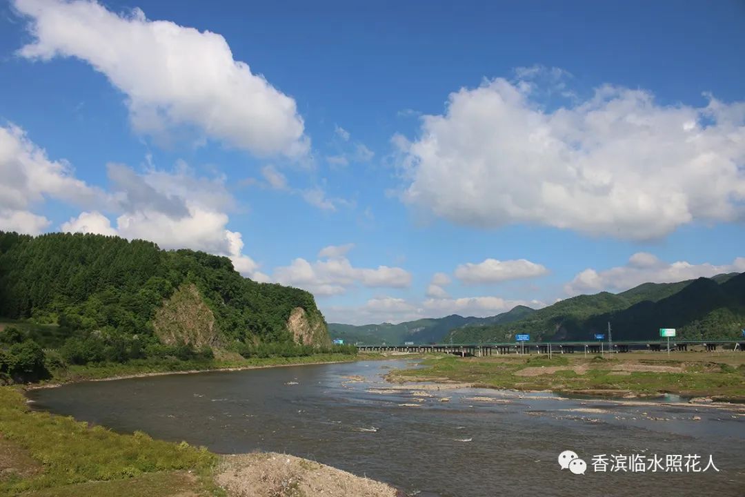 这儿真美作文三年级思维导图,三年级上册作文这儿真美思维导图