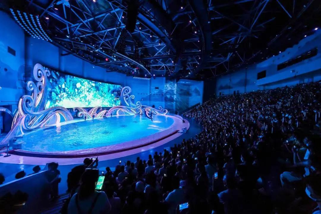 小精灵同款树屋绝了!遛娃的秘密基地,诗境家园里的度假圣地