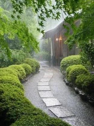 人约黄昏后月上柳梢头,人约黄昏后月上柳梢头视频素材