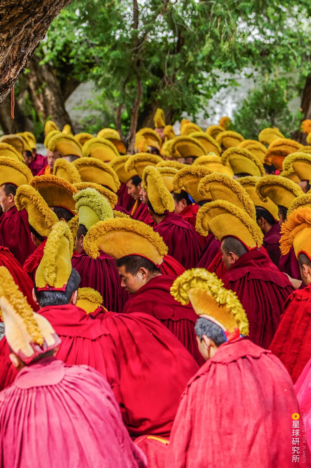 布达拉宫进去可以看到什么,布达拉宫夏天能看见雪山吗