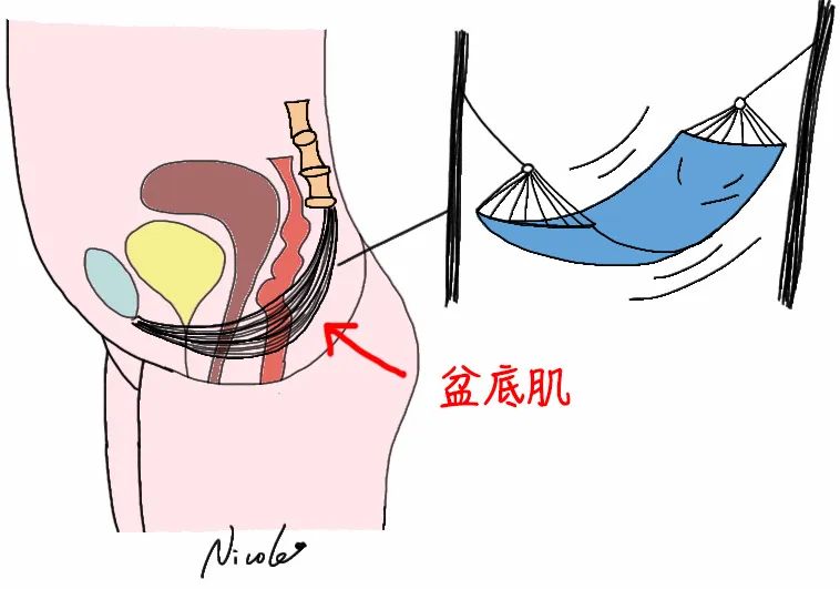 宝宝拉不出粑粑难受怎么办,拉不出粑粑的最快解决办法