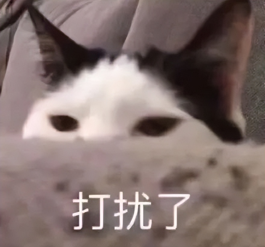 情侣酒店必须做的几件事,情侣酒店简单拍照姿势