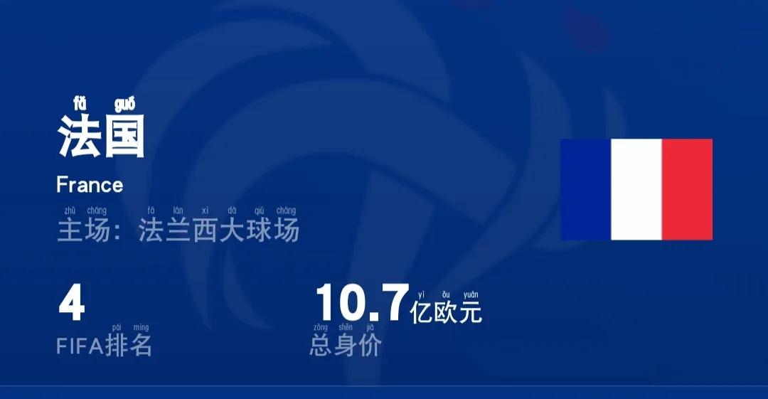 阿根廷卡塔尔世界杯26人名单身价,卡塔尔世界杯身价排名第一