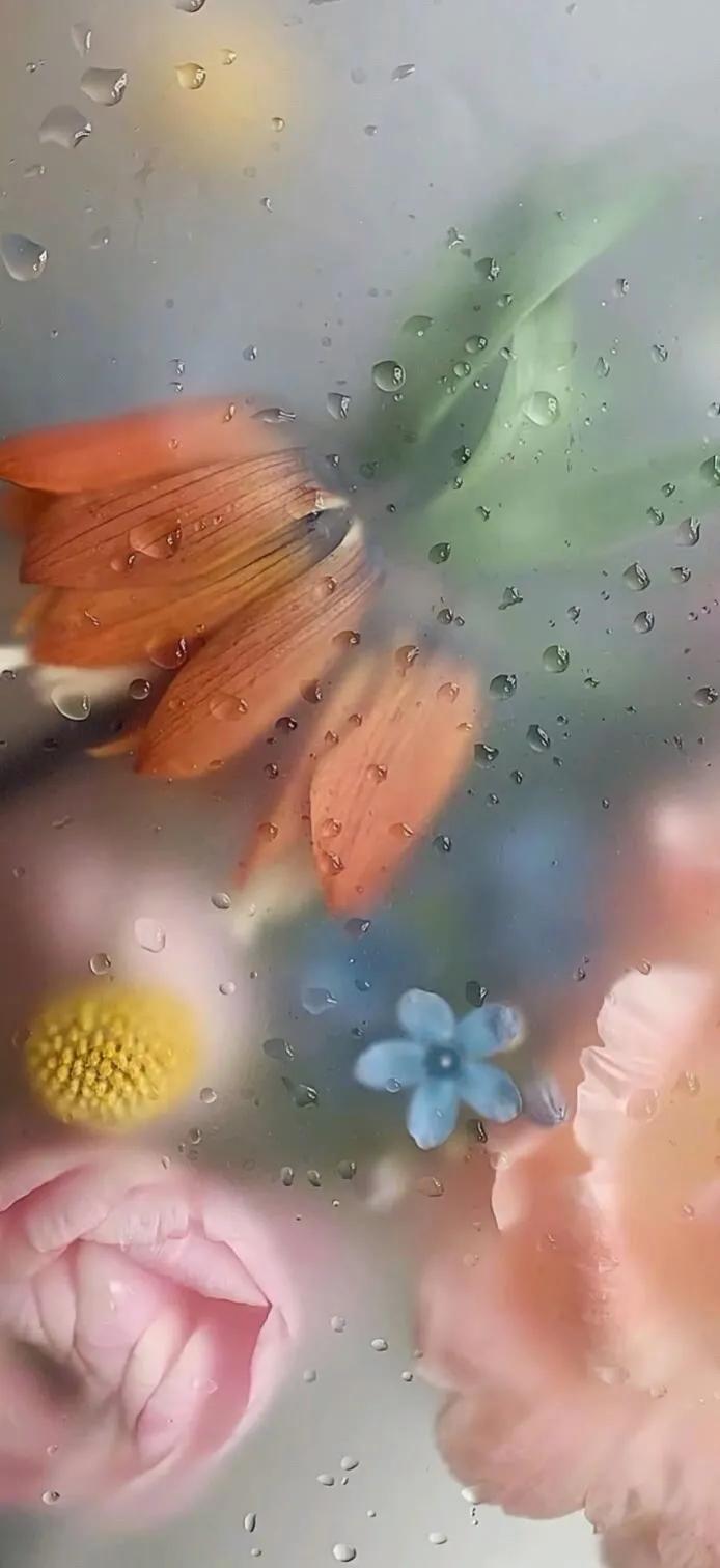 手机壁纸大全超好看动态,壁纸超清4k手机壁纸男生专用