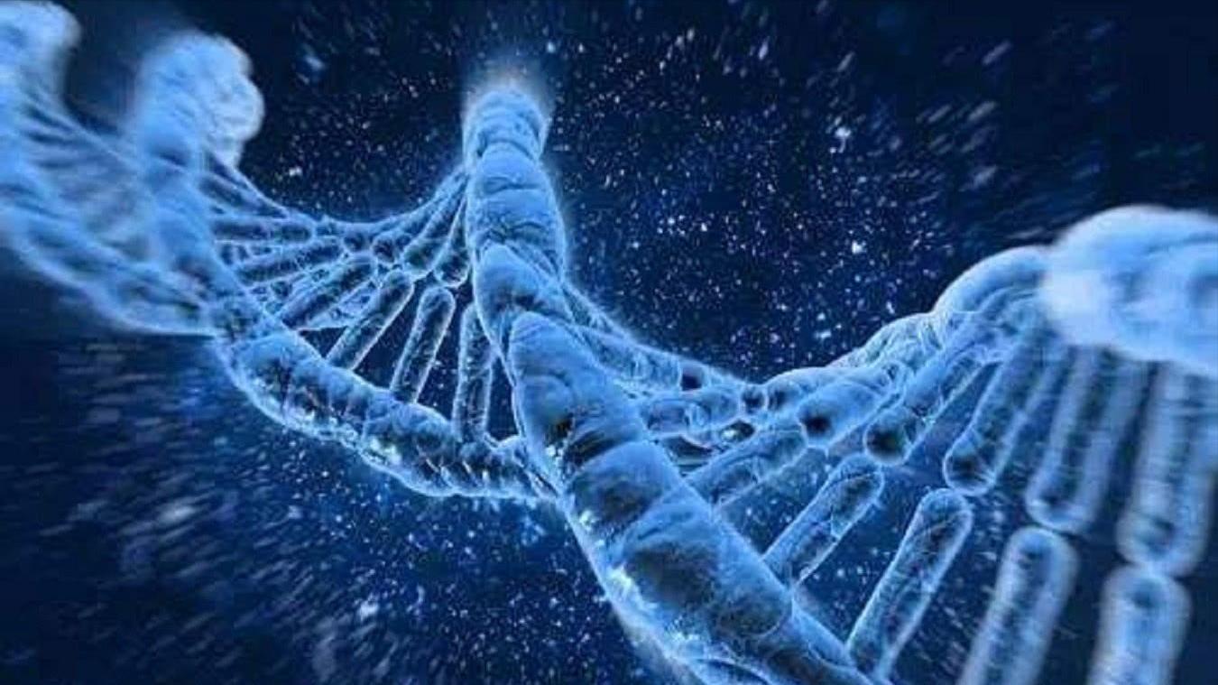 没有月经没有子宫是石女吗,没有生育能力的女人是石女吗