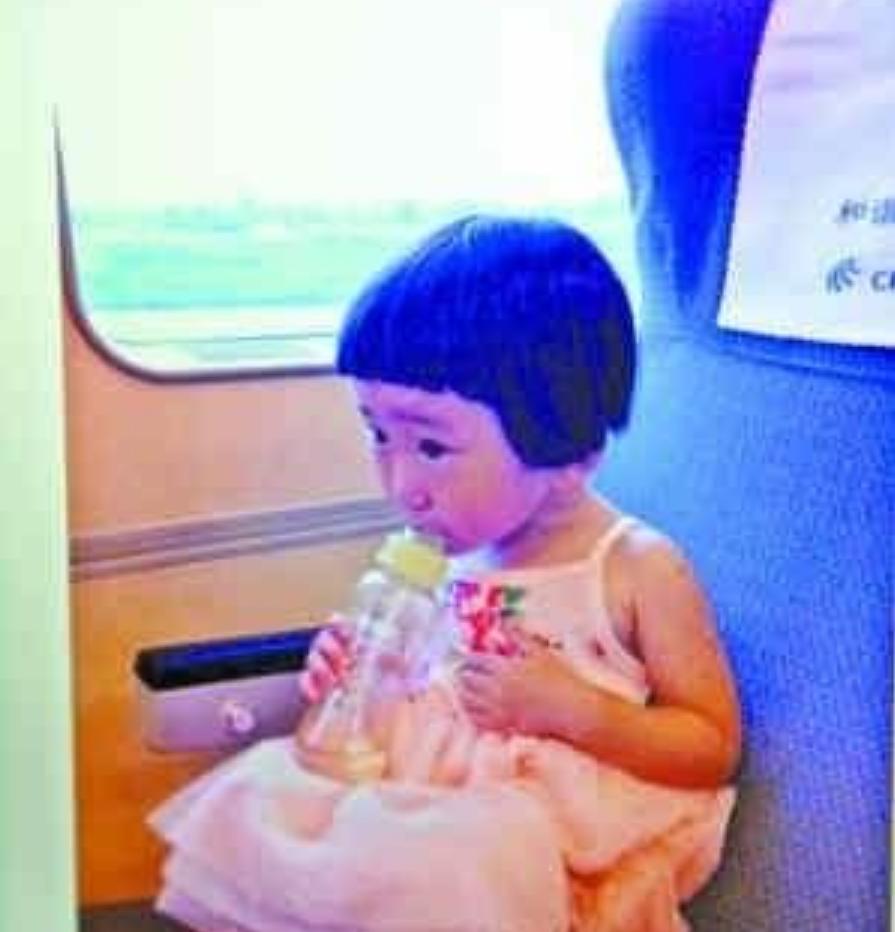 小伊伊温州动车,温州小伊伊事件