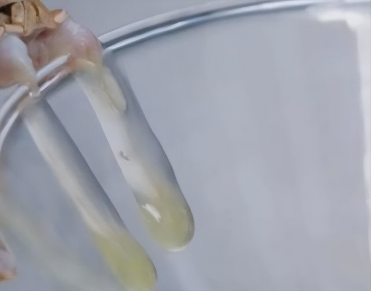 重庆某小区频繁出现剧毒蛇,重庆的剧毒蛇