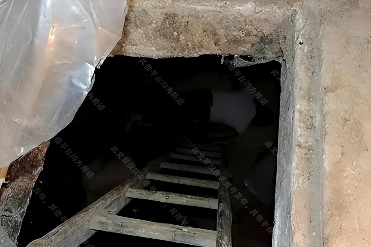 黑龙江妇女杀害两兄弟,黑龙江菜窖藏尸案视频