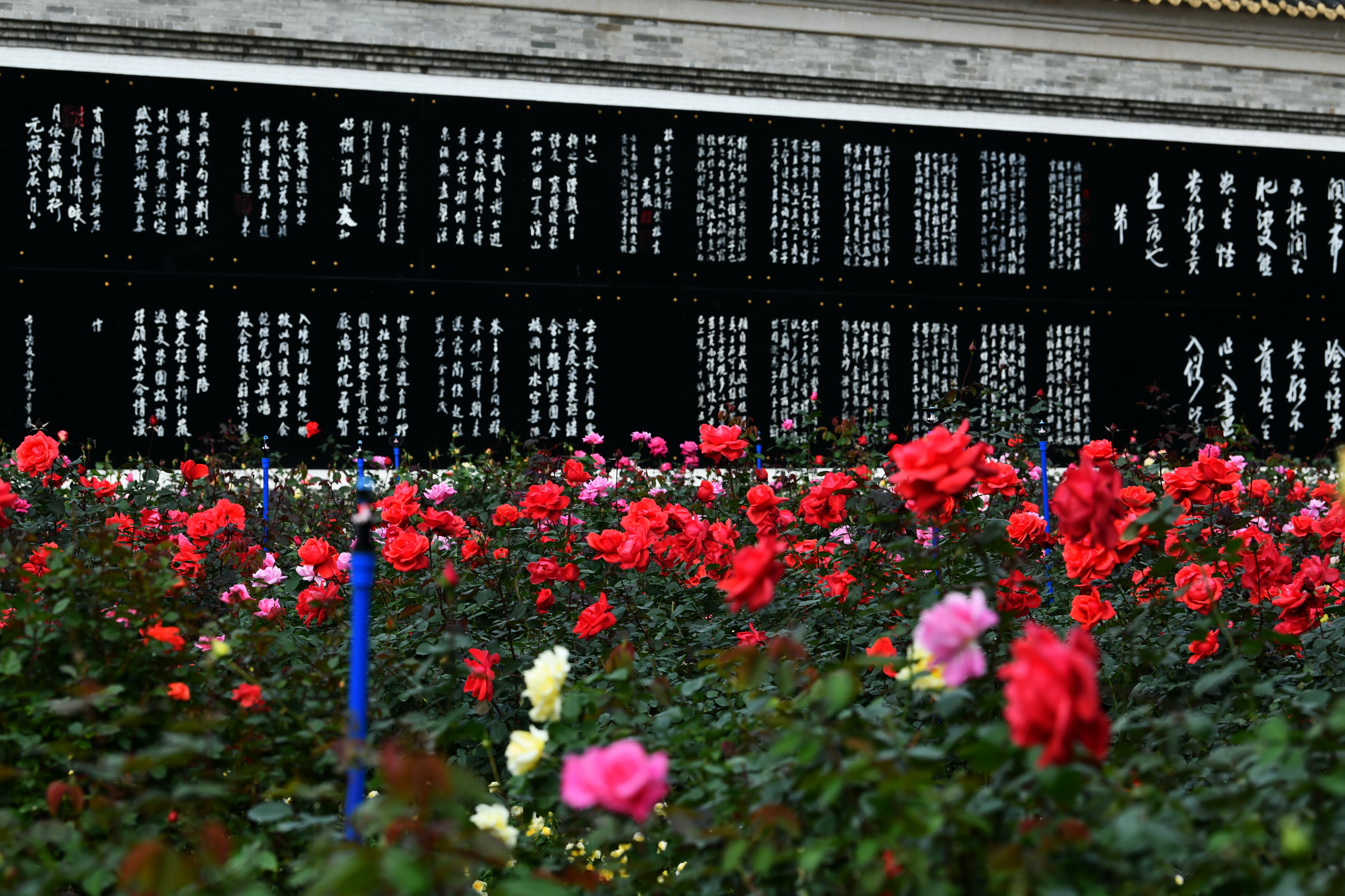广州市番禺区宝墨园攻略,广州宝墨园景观