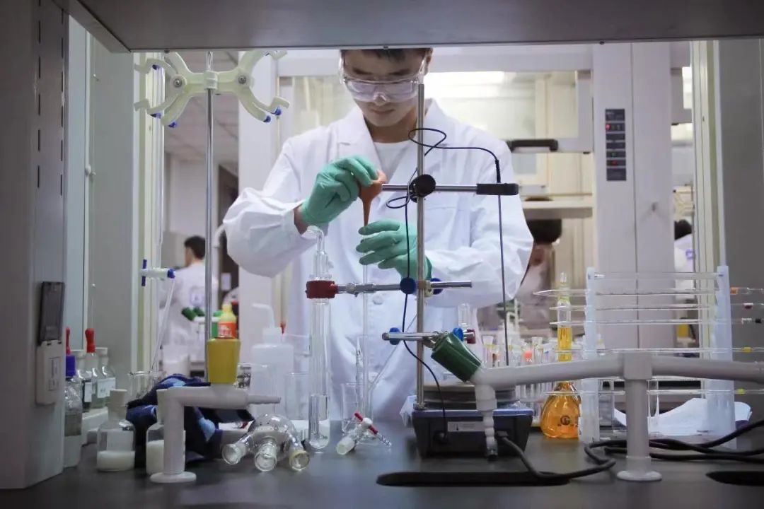 一文读懂心理学,一文读懂经济学派