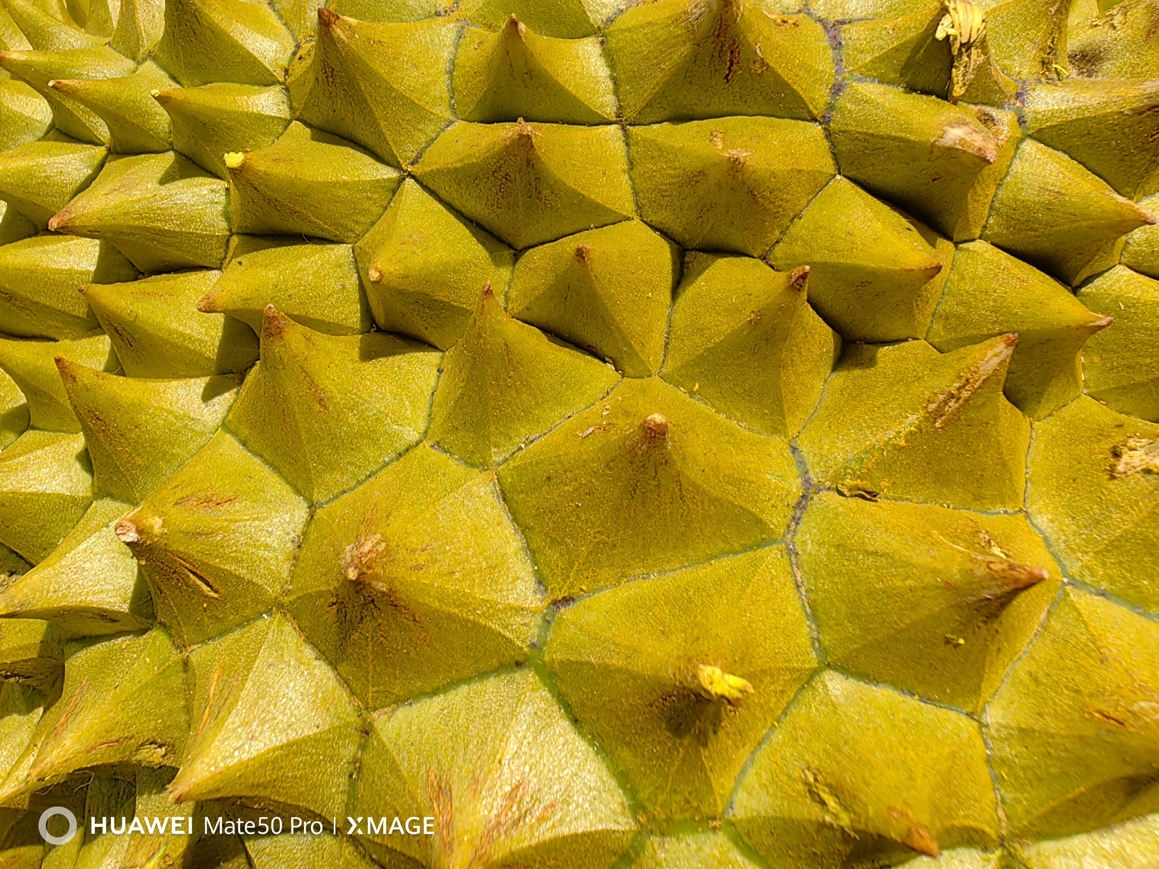 华为mate50pro为什么不用徕卡,华为mate50pro不用徕卡了吗