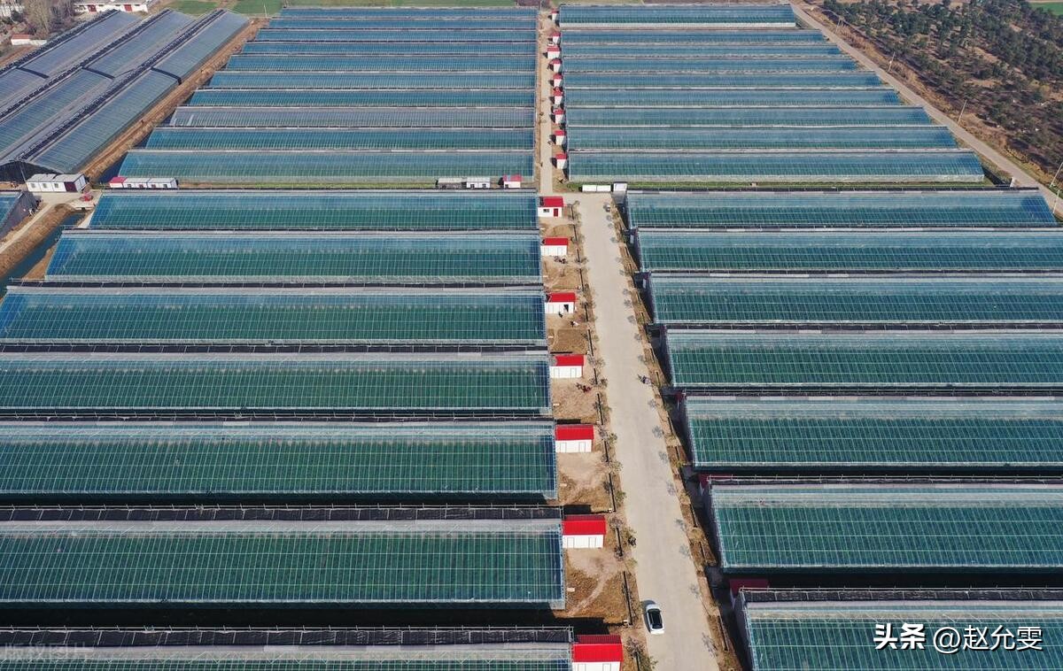 农民有福了有什么新政策,下半年农村七大工程全面启动