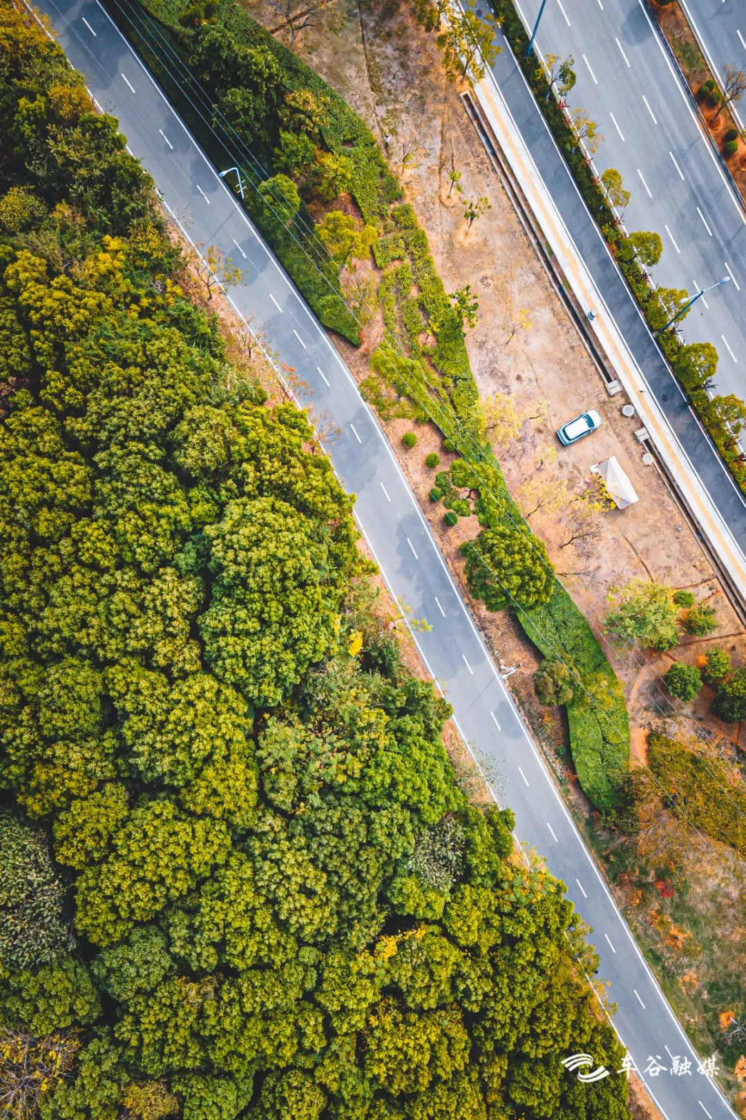 秋日暖阳骑行绿道,骑车绕城绿道值得打卡的推荐