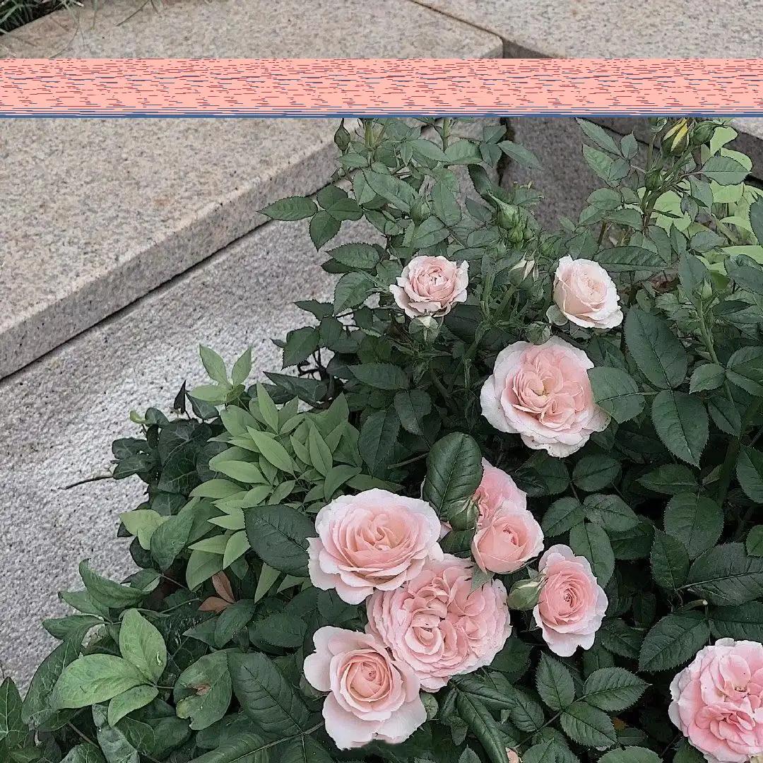 新顾客成交晒单的文案,新顾客成交文案