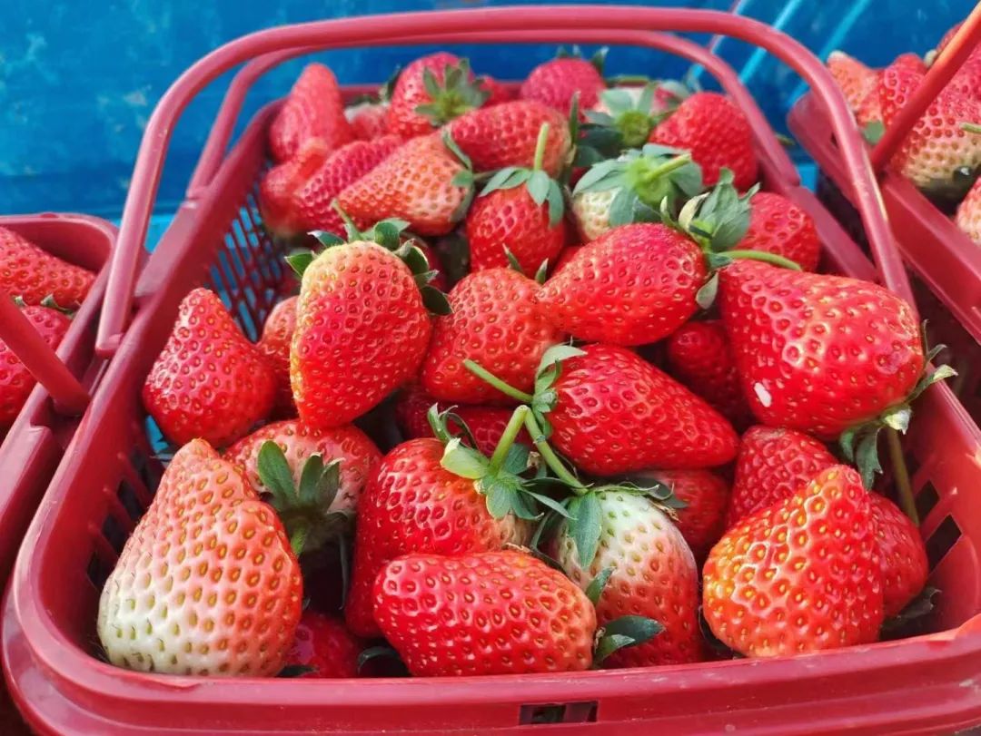 孩子们的快乐星球！周末带娃，肥西这些地方就够啦！