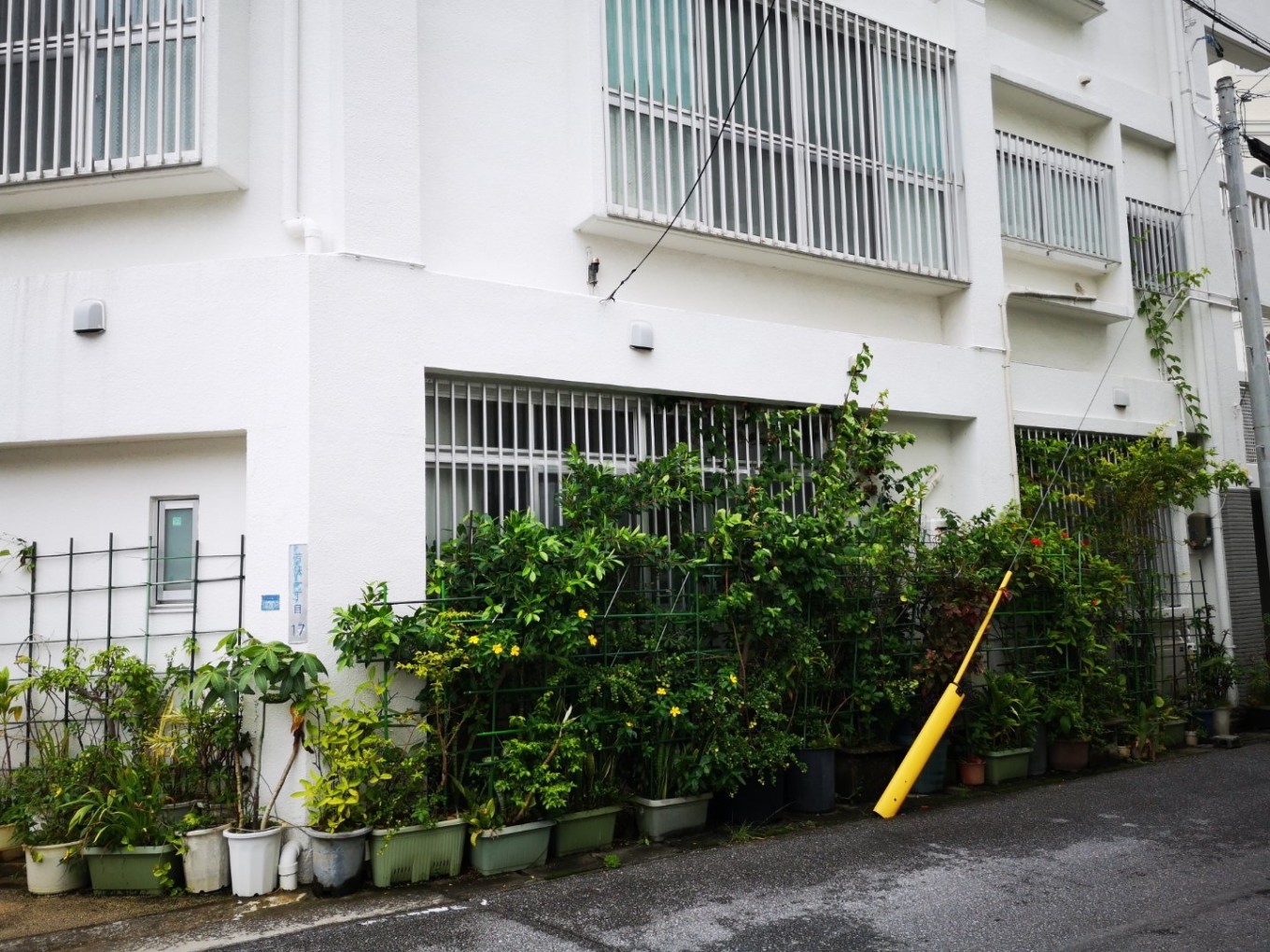 暑期档2019年,2019年暑期档