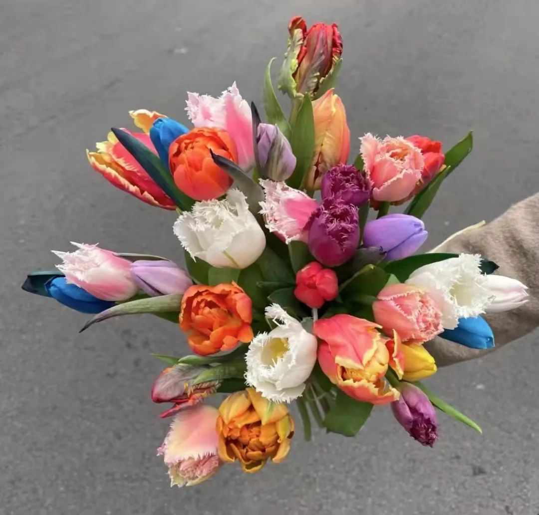 三月花事Vol.2|那些属于女神们的花