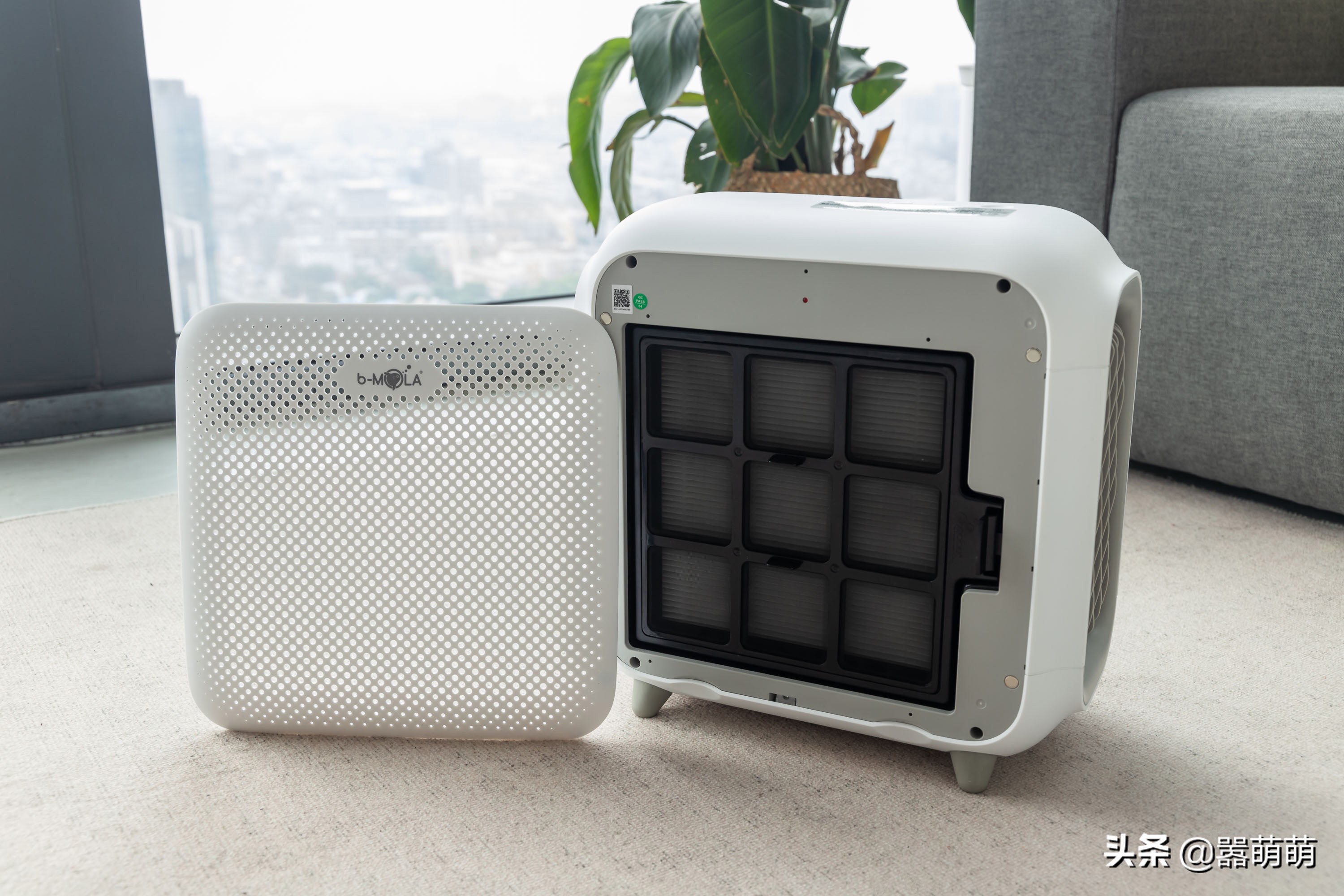 猫咪应激大小便失禁喘气怎么办,猫咪发屎疯是什么原因