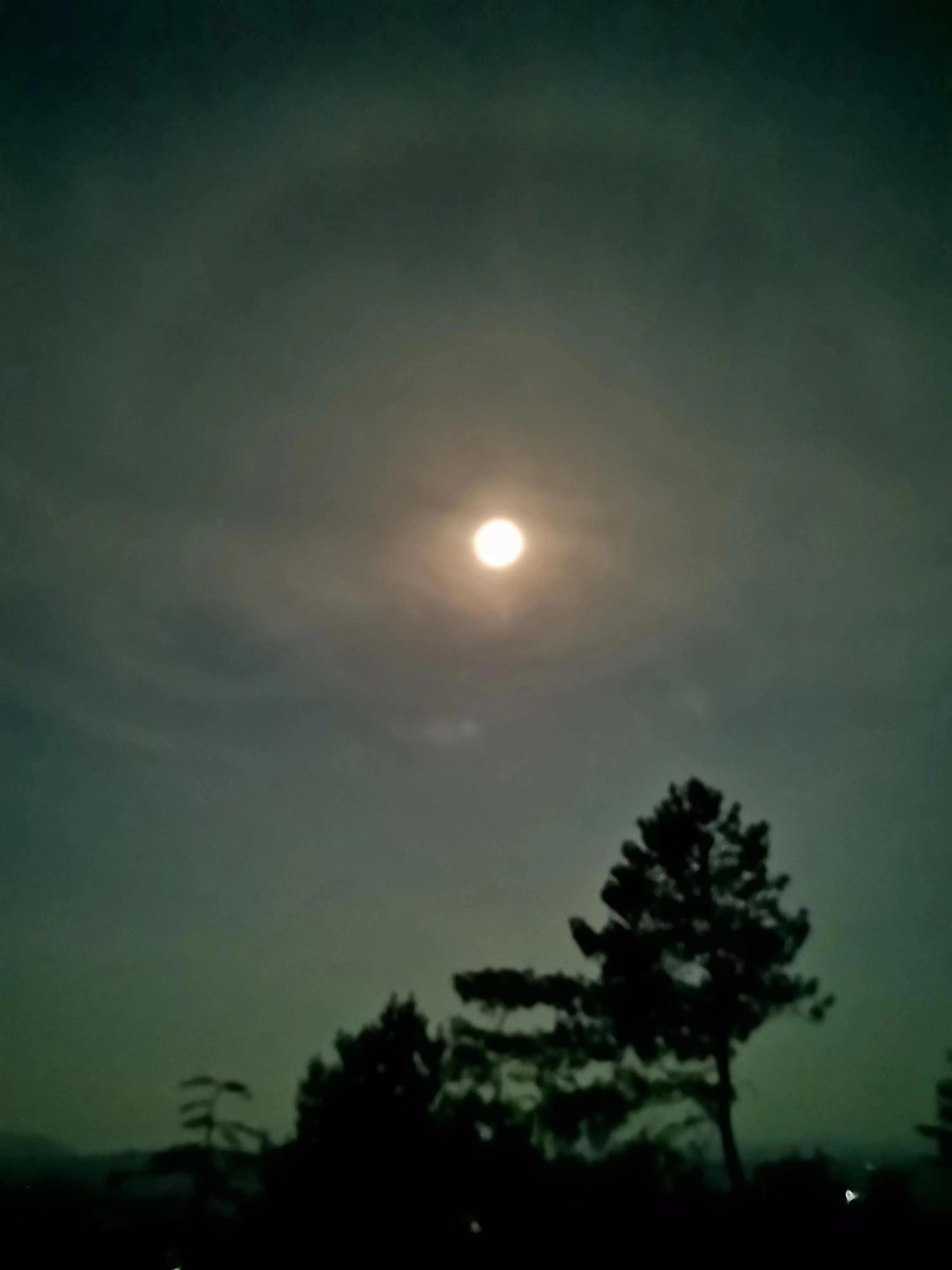 浙东古诗词,浙东唐诗有哪些