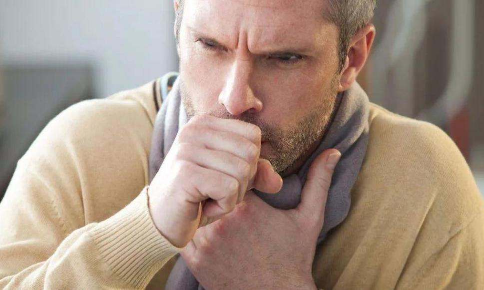 食谱止咳润肺的冰糖雪梨银耳汤,砂锅冰糖雪梨的正确做法润肺止咳