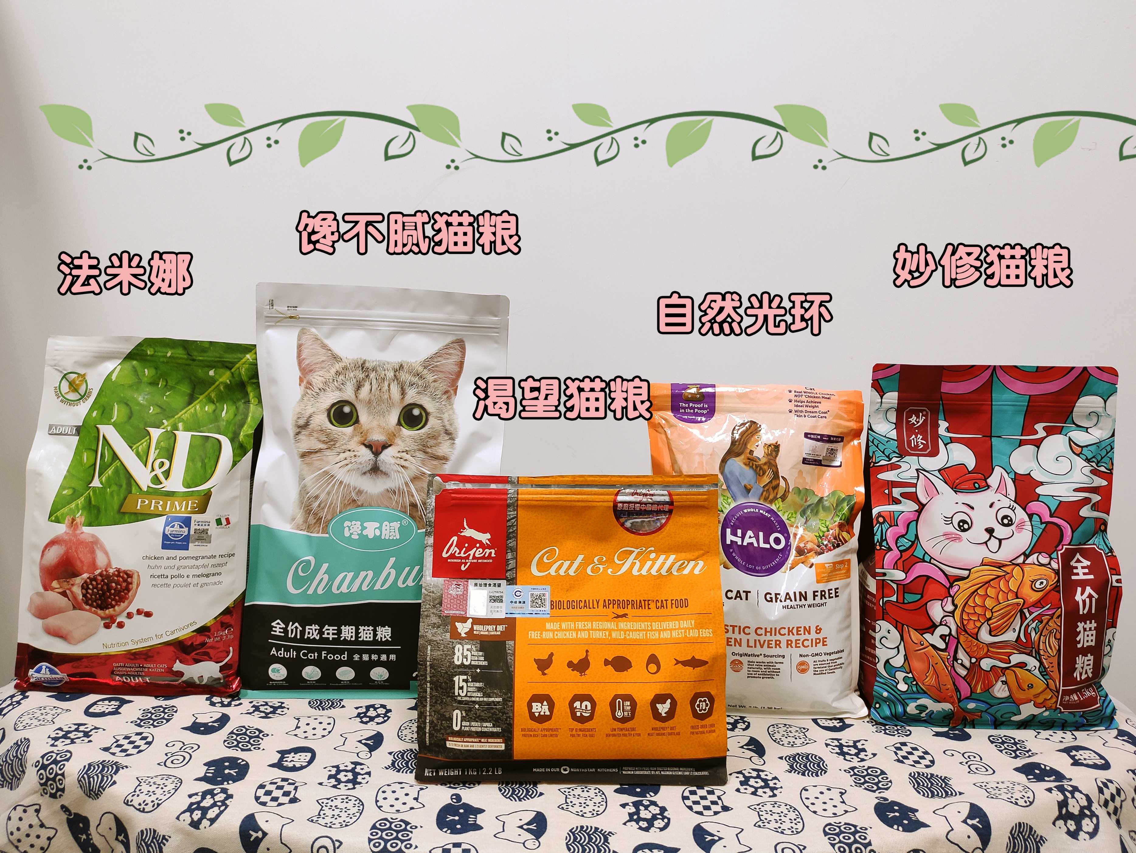 这六只猫你们第一眼喜欢哪一个,这6种猫脾气很好