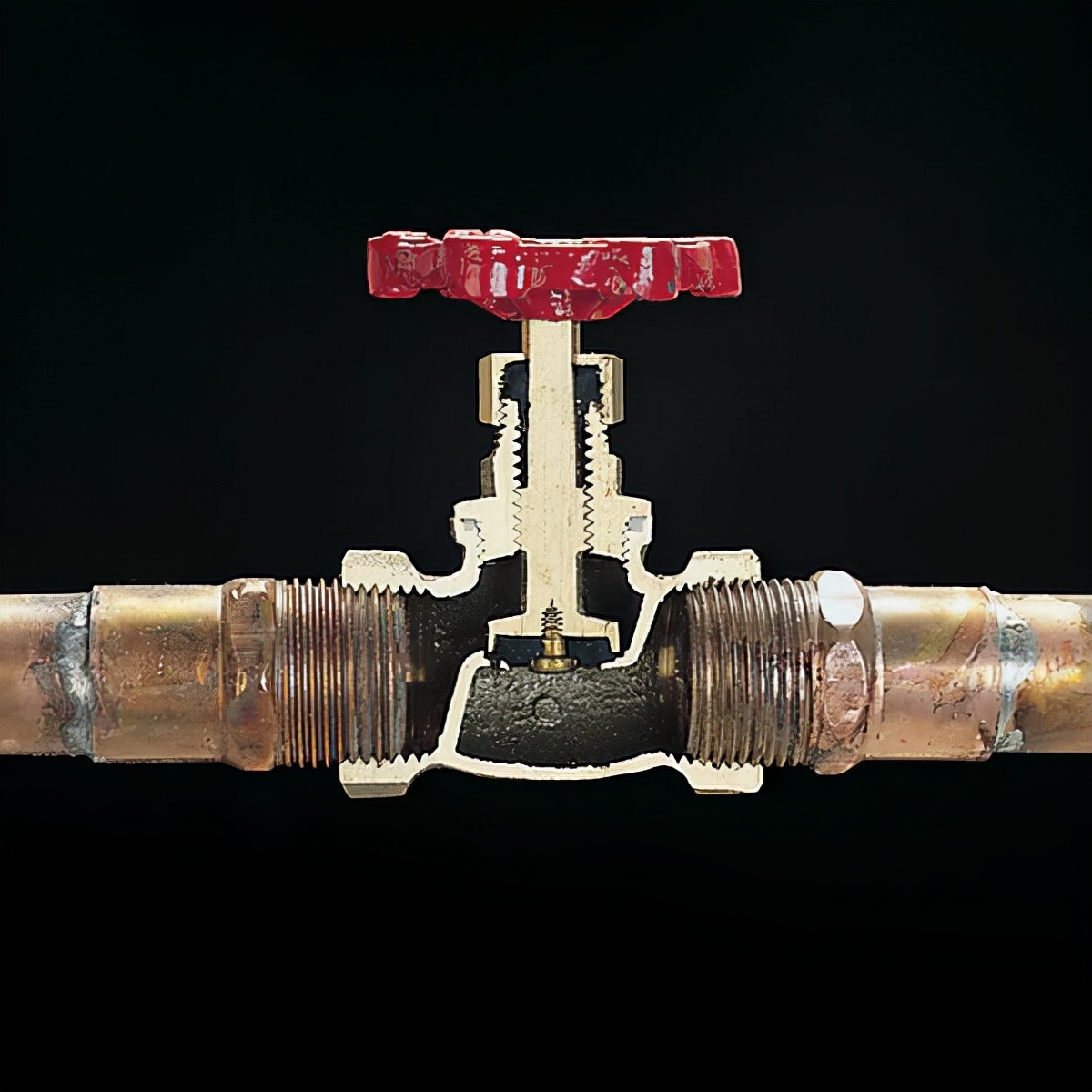 60样东西，切成一半，让你看得一清二楚