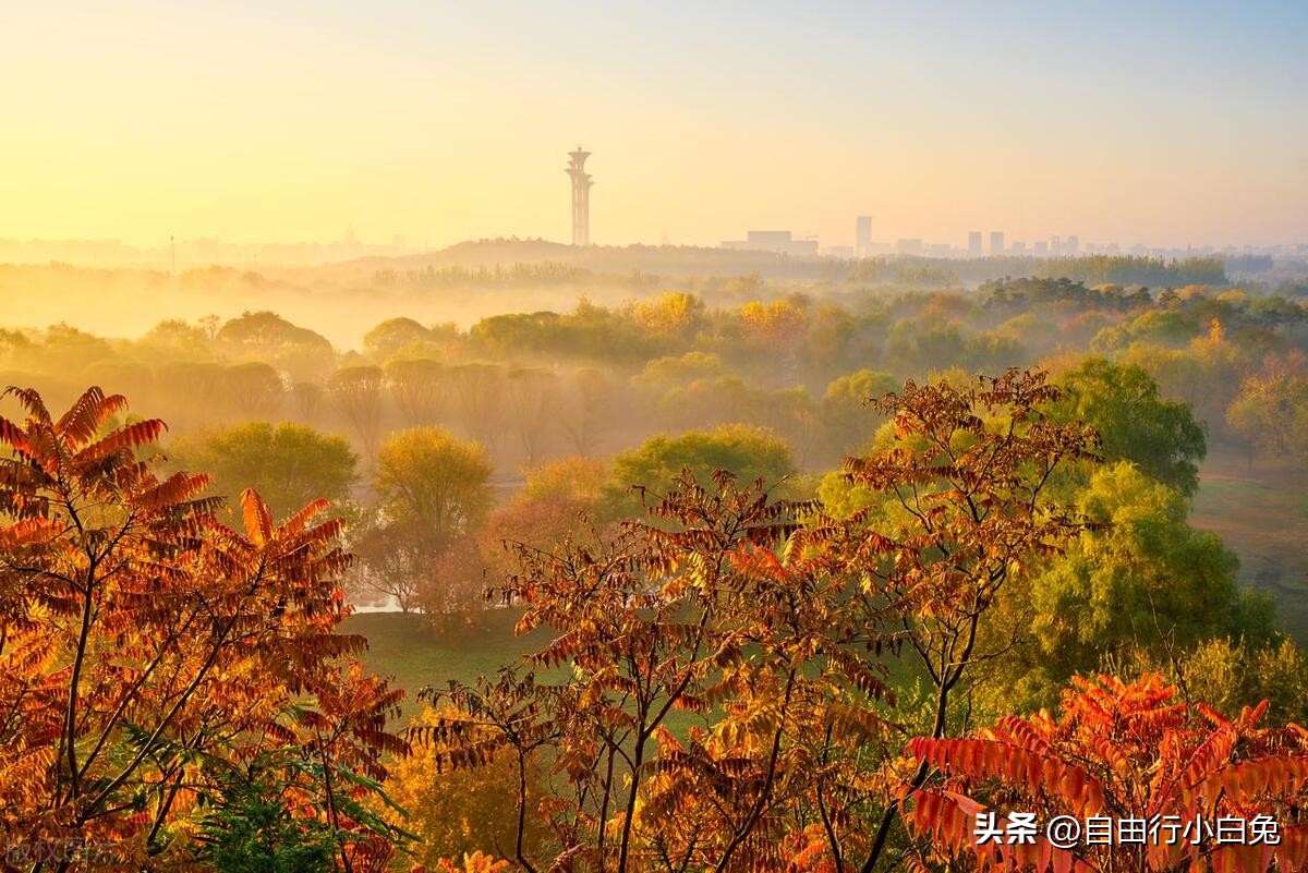 北京奥林匹克公园中心区,北京奥林匹克公园现在开放吗