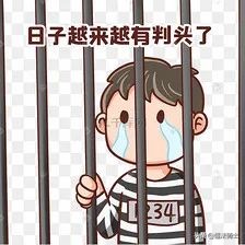 极兔快递寄丢毕业证后续,极兔快递贴错单寄丢毕业证遭索赔
