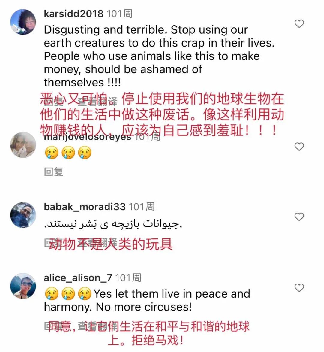 野象谷：给大象拴铁链子，好比人类遛狗的时候拴狗绳