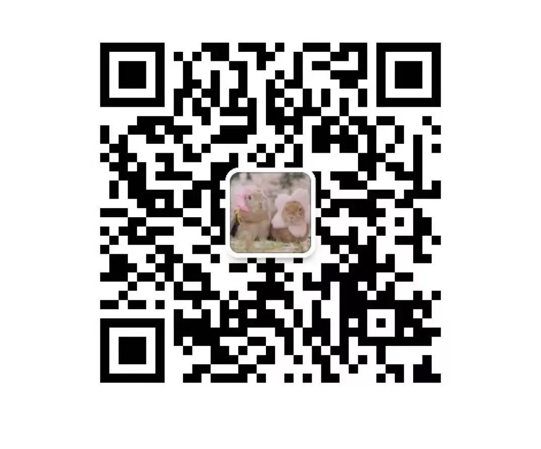 雷石招聘|期待在这个美好的夏天与您相遇！