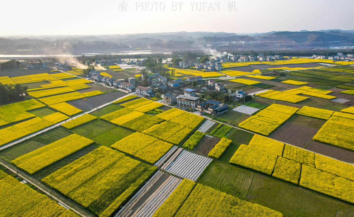 潼南油菜花旅游攻略,美好春日潼南赏花地图快来get