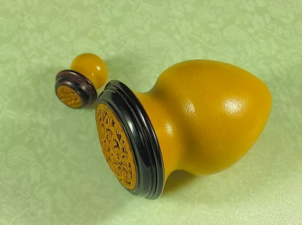 养猫养狗都养不活,养狗养猫养蜘蛛