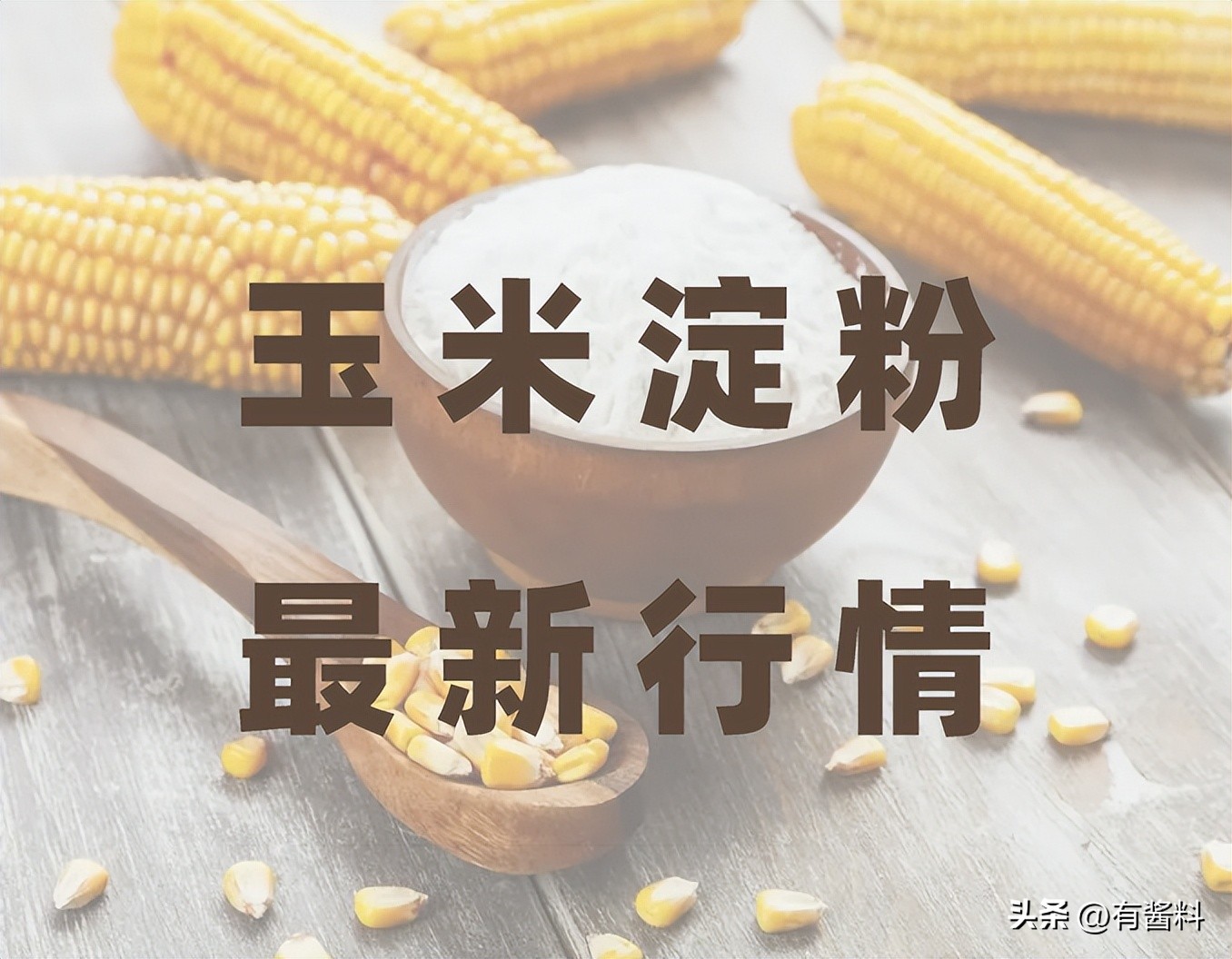 最新玉米淀粉行情日报202302307：厂家存挺价心理，短期偏强运行