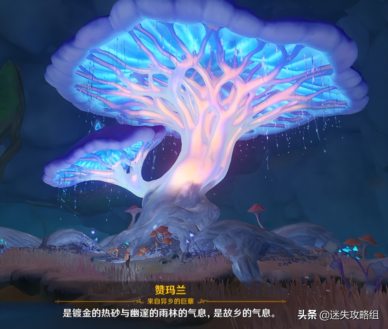 原神杂谈任务,原神资讯杂谈