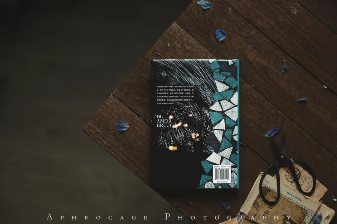 “阿根廷的陀思妥耶夫斯基”阿尔特小说收官之作《魔幻之爱》