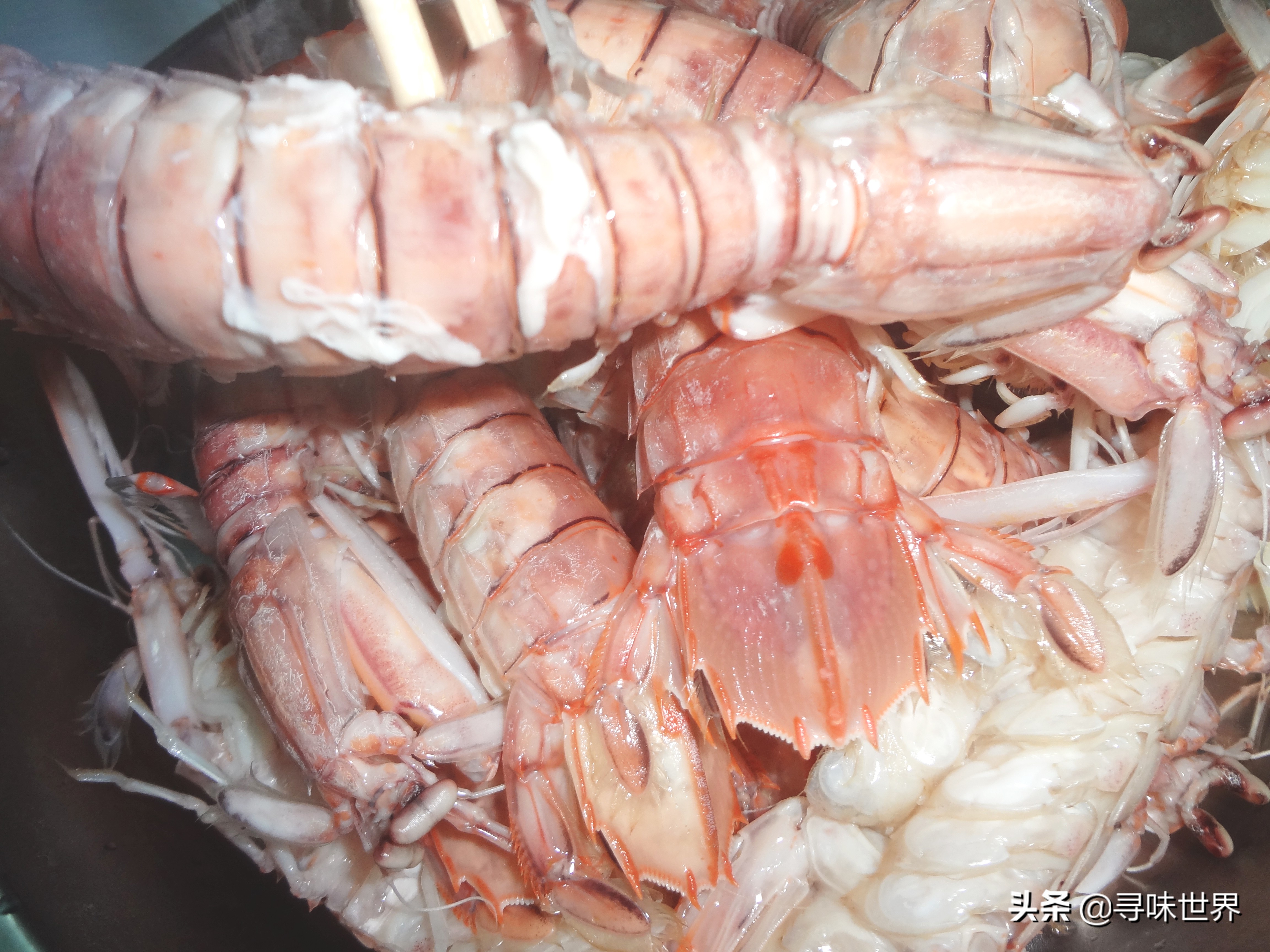 常见海鱼的品种大全及名字,海鱼的品种大全介绍