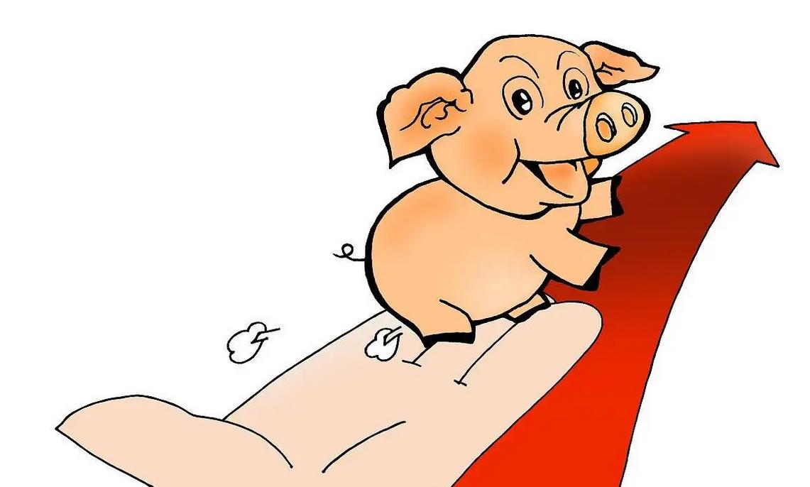 抢猪赚钱,抢猪最新视频