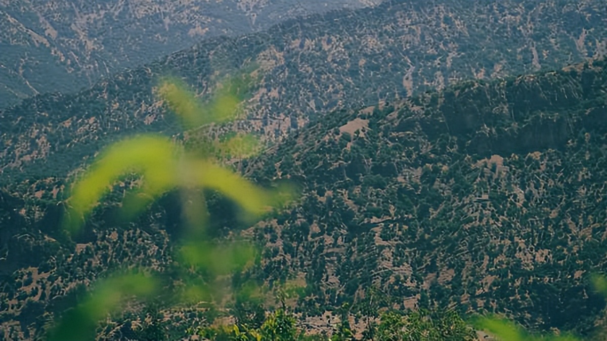 好听的广场舞歌曲精选,好文分享主题