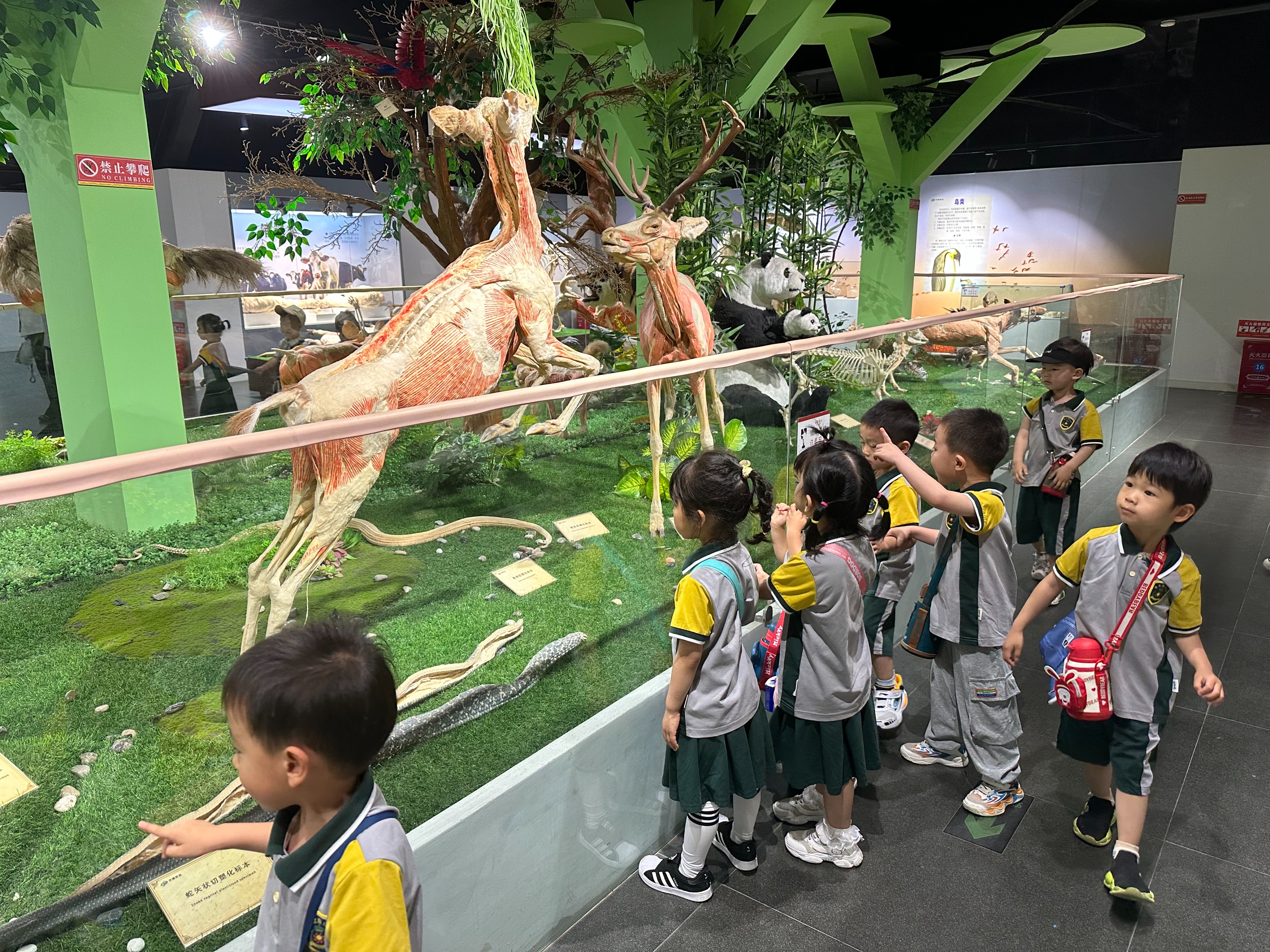 郑州出发十一冷门自驾游,郑州亲子游十大必去景点免费的