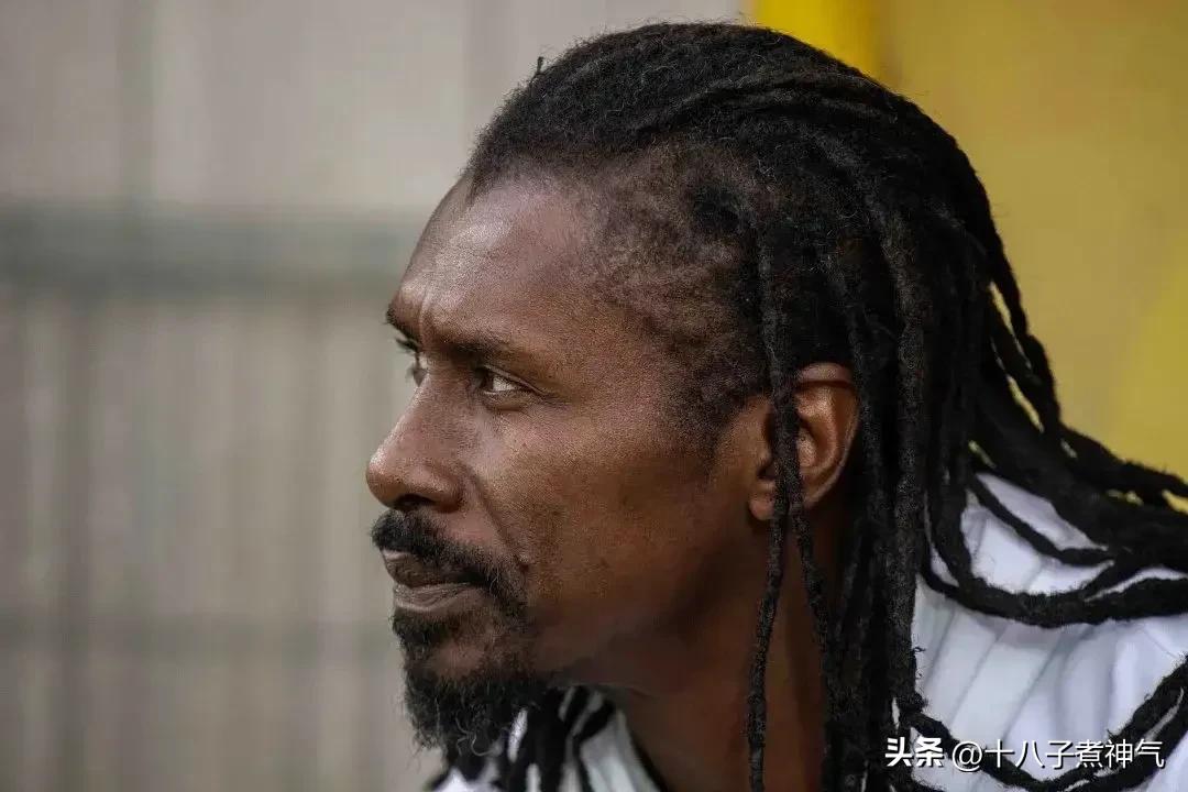 世界杯最厉害的主教练,世界杯最帅足球教练