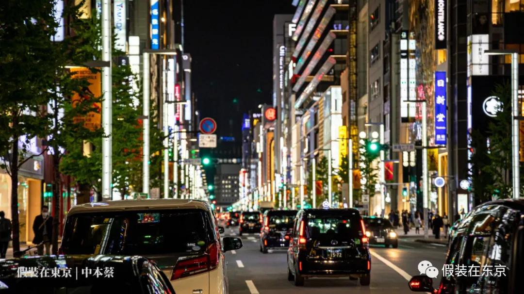 365张照片回顾,365张相片