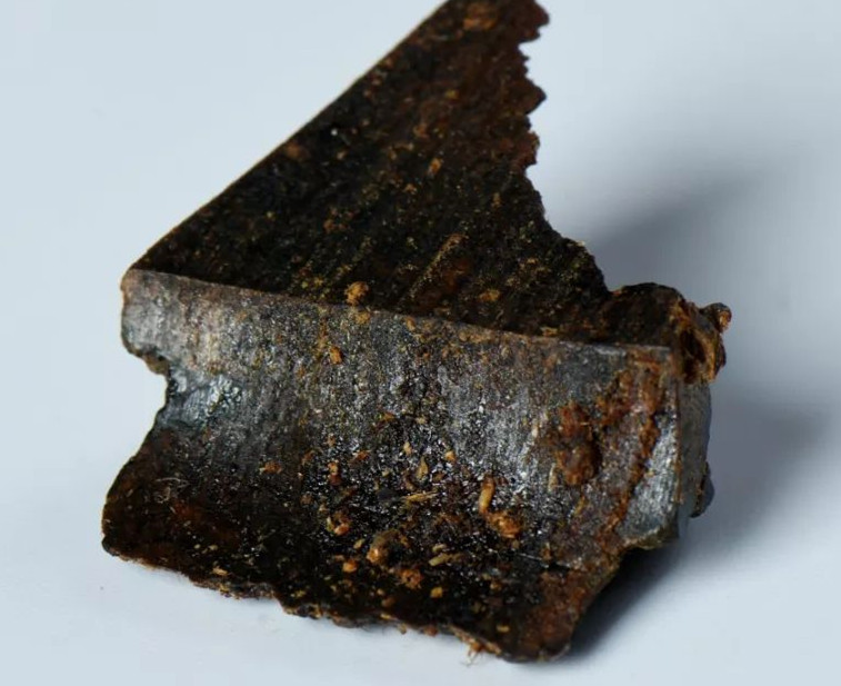 如何种植奇楠沉香不违法,种植奇楠沉香要去壳吗