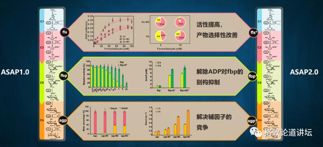 二氧化碳变成淀粉靠谱吗,用二氧化碳合成的淀粉怎样吃