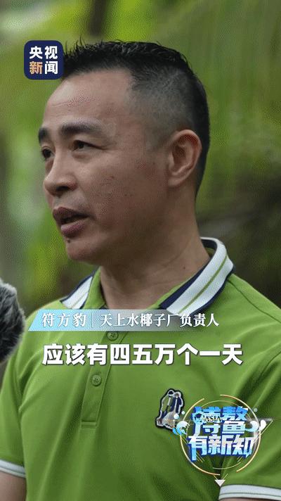 这里，专门为椰子出了规划！